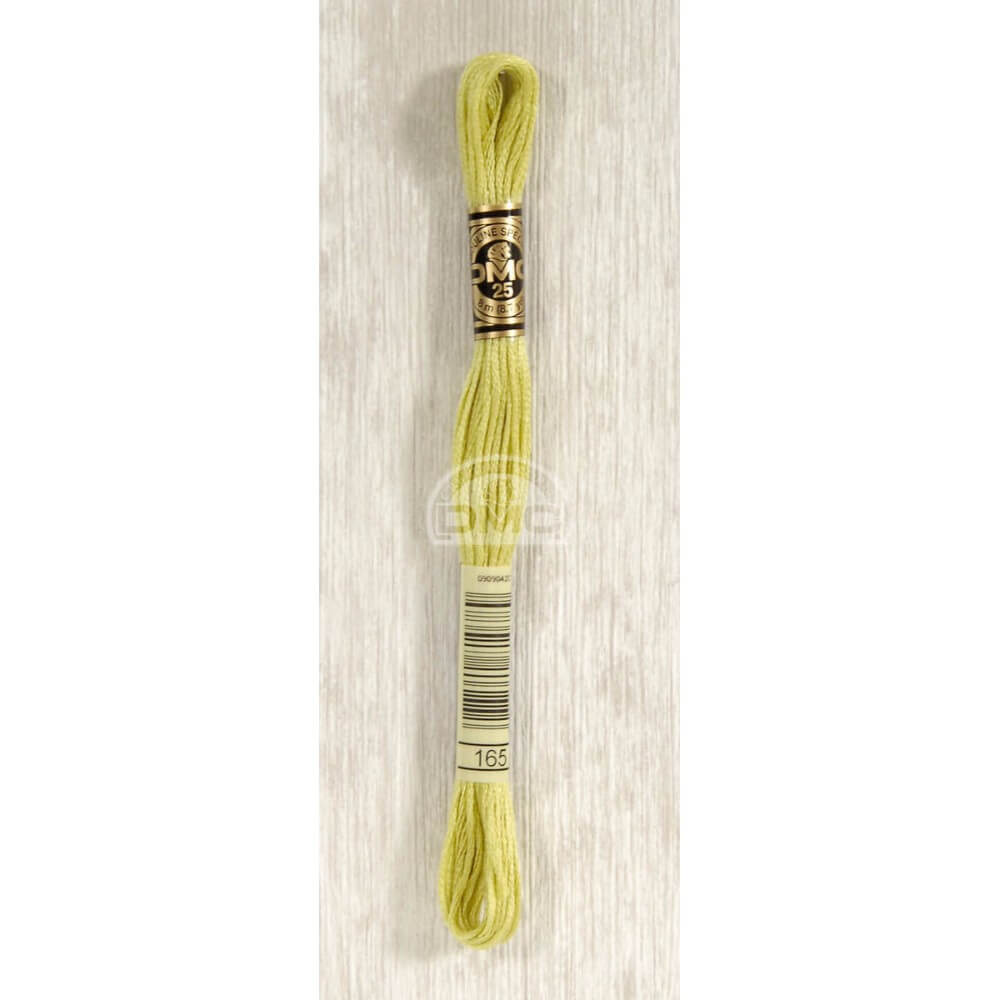 DMC Mouliné splijtzijde 8m - 0165