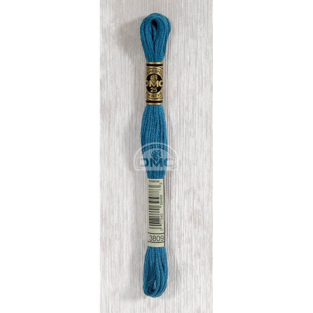 DMC Mouliné splijtzijde 8m - 3809