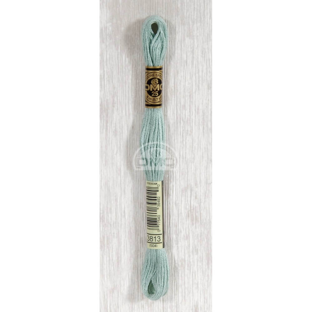 DMC Mouliné splijtzijde 8m - 3813