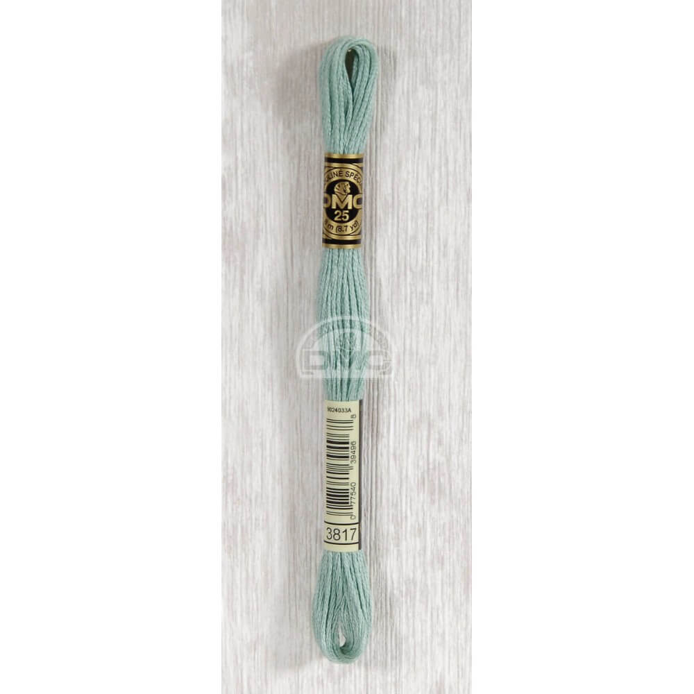 DMC Mouliné splijtzijde 8m - 3817