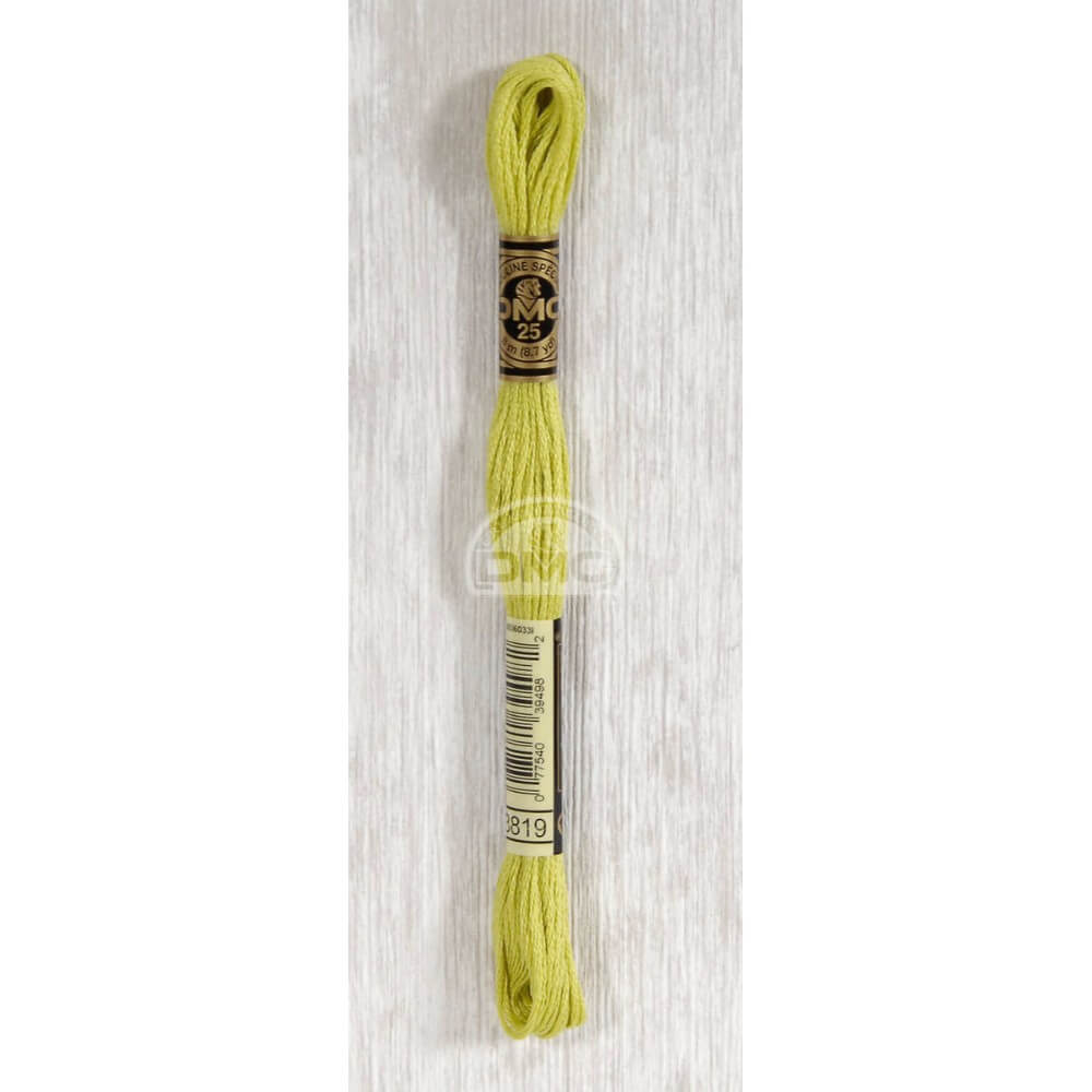 DMC Mouliné splijtzijde 8m - 3819