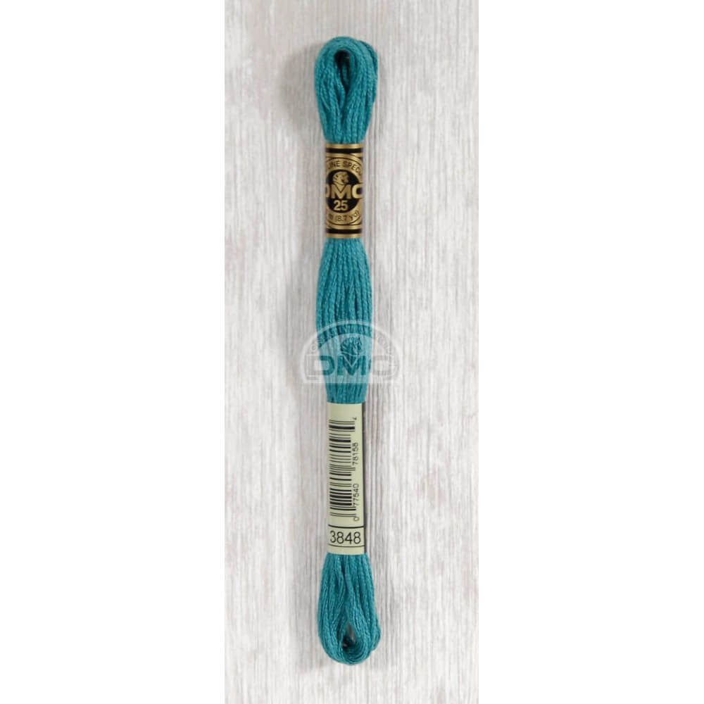 DMC Mouliné splijtzijde 8m - 3848
