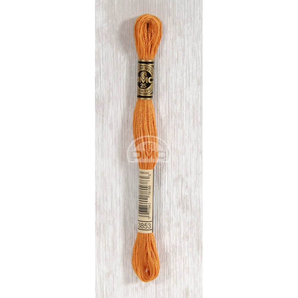 DMC Mouliné splijtzijde 8m - 3853