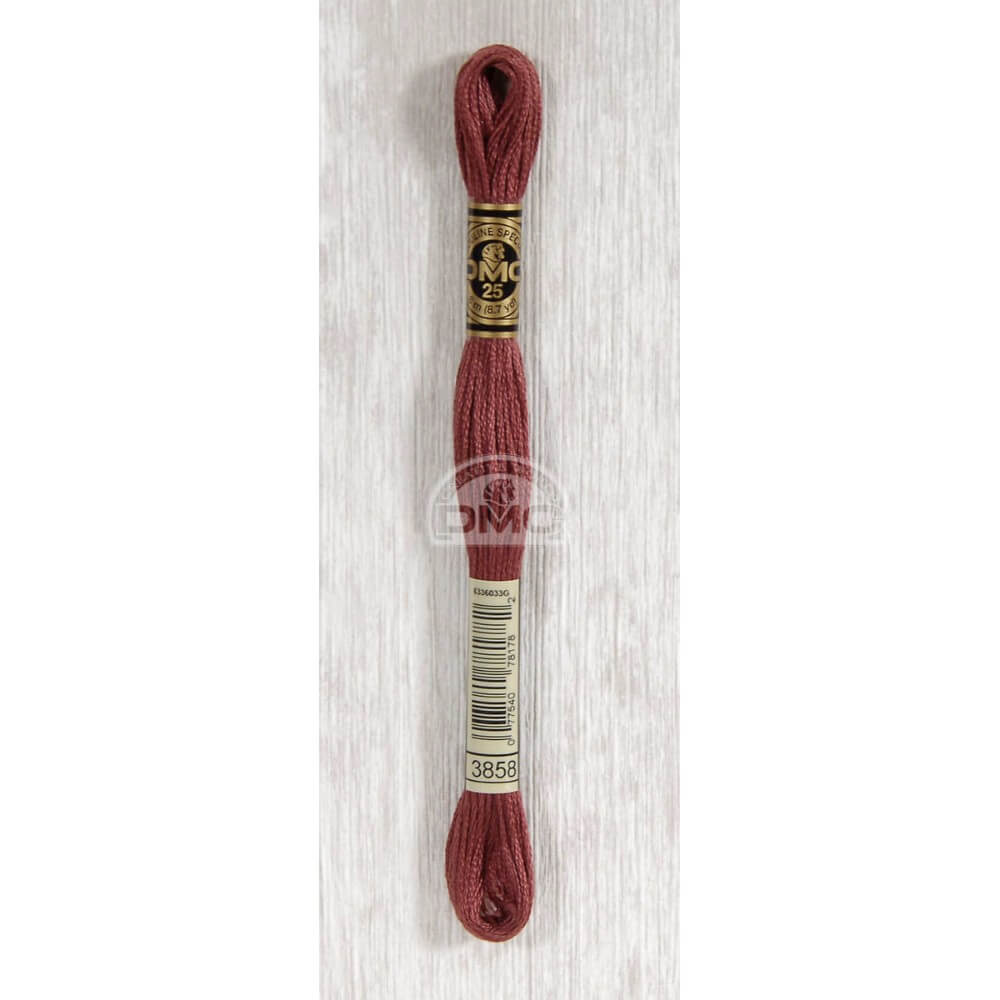 DMC Mouliné splijtzijde 8m - 3858