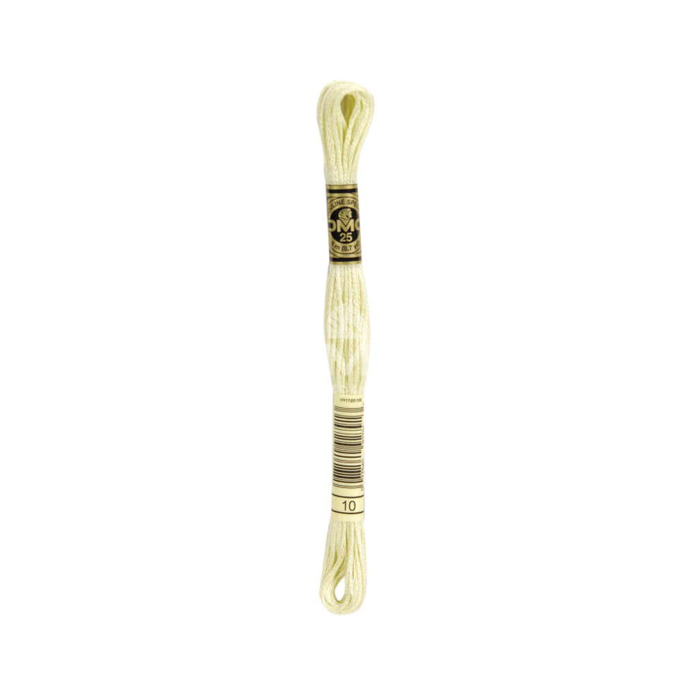 DMC Mouliné splijtzijde 8m - 0010