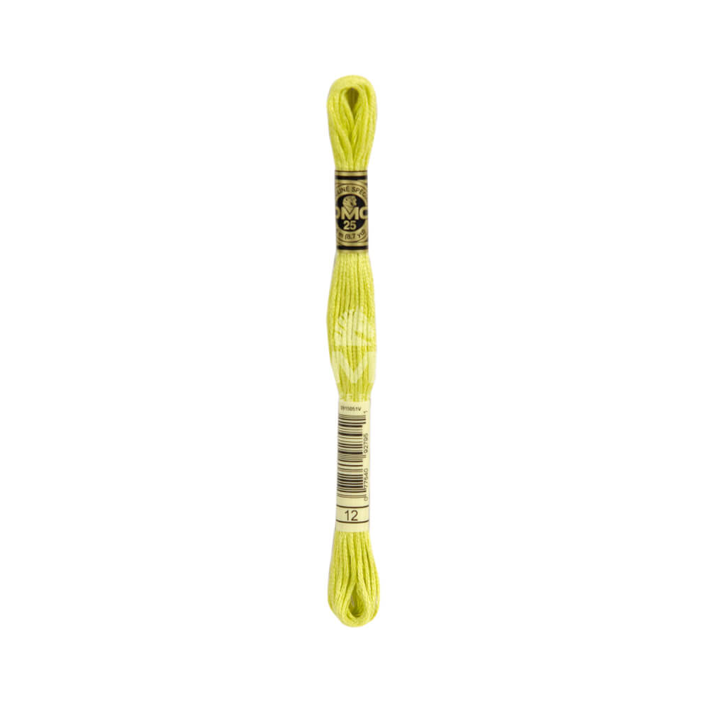 DMC Mouliné splijtzijde 8m - 0012