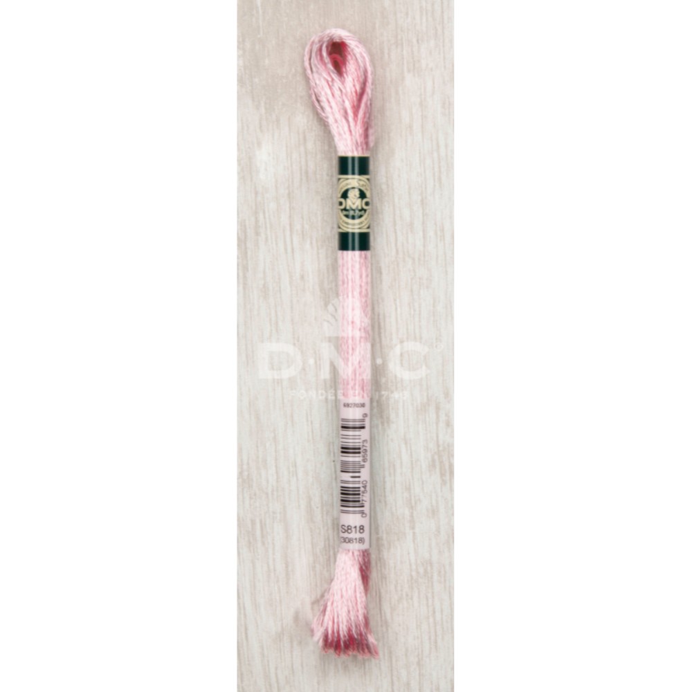 DMC Mouliné Satin 8m - S0818