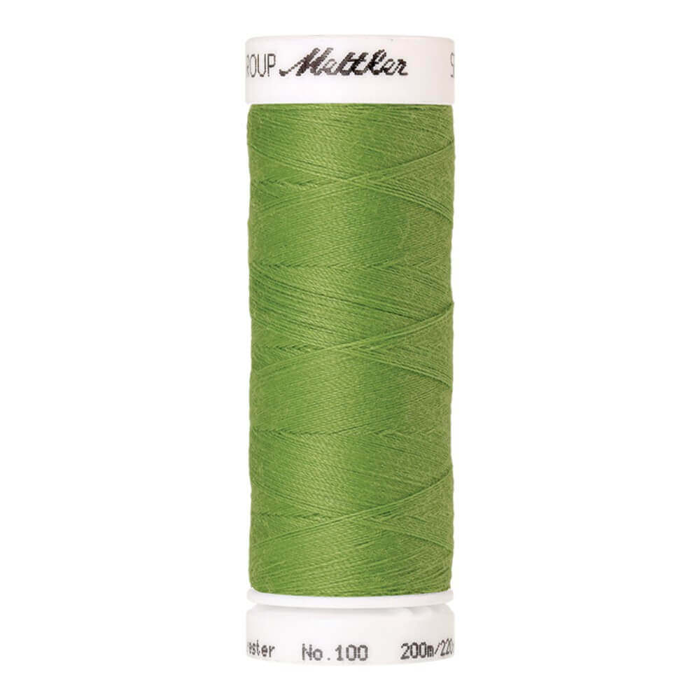 Amann Seralon nr.100 5x200m - 0092