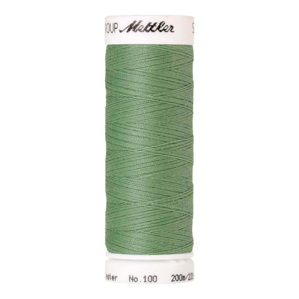 Amann Seralon nr.100 5x200m - 0219
