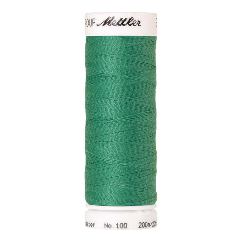 Amann Seralon nr.100 5x200m - 0238