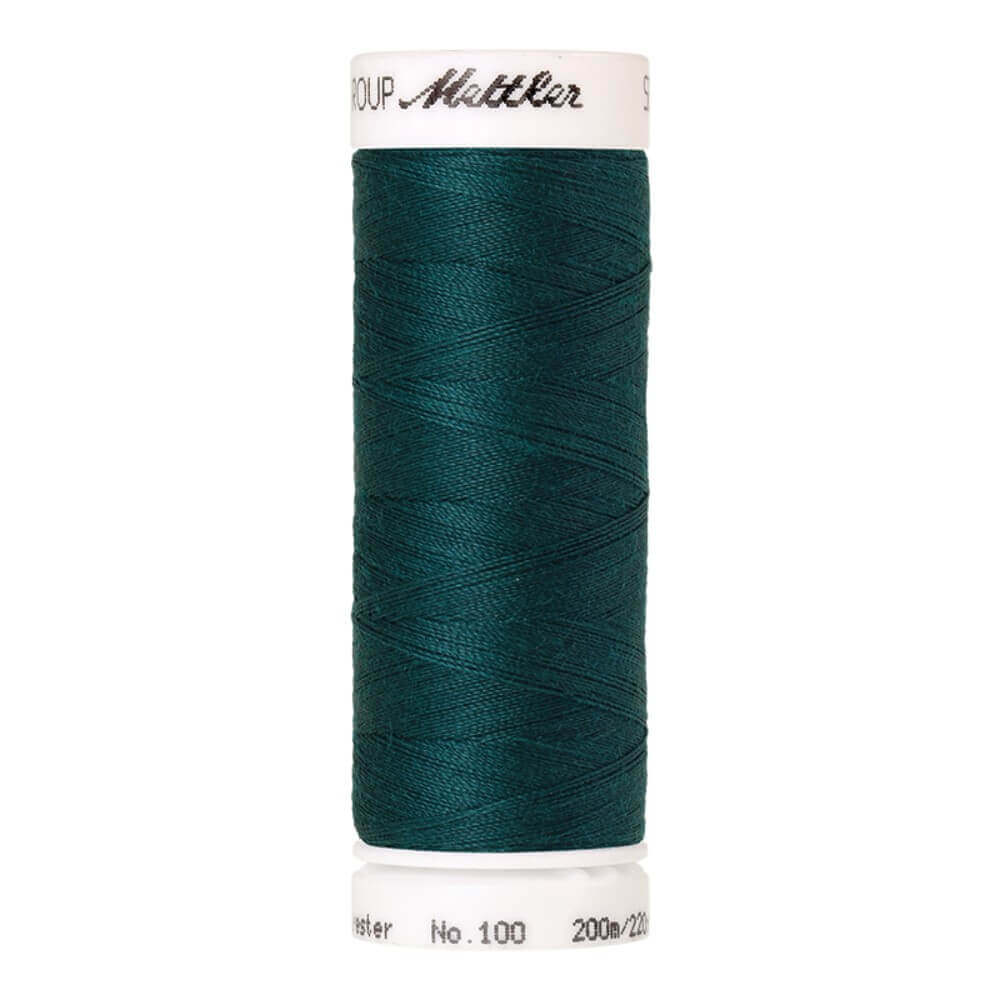 Amann Seralon nr.100 5x200m - 0314