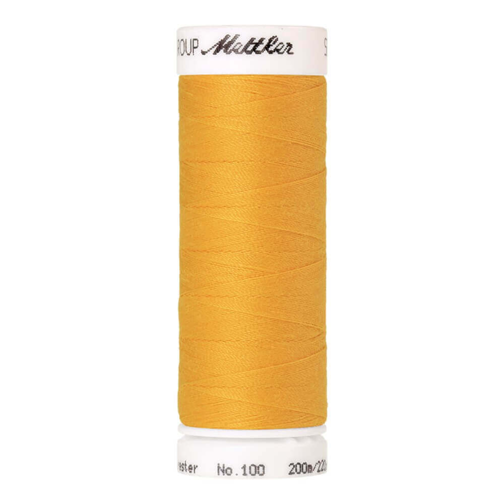 Amann Seralon nr.100 5x200m - 0607