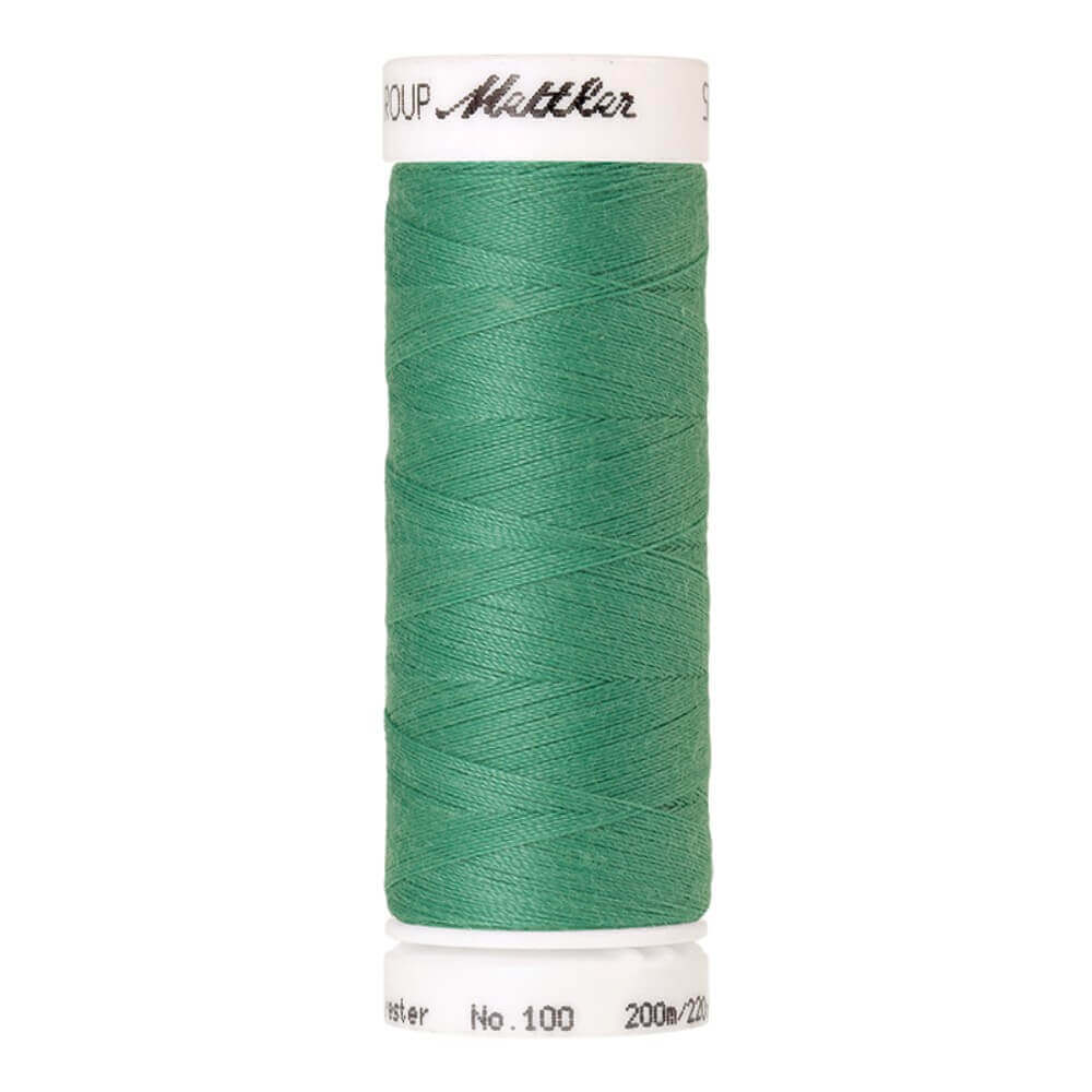 Amann Seralon nr.100 5x200m - 0907