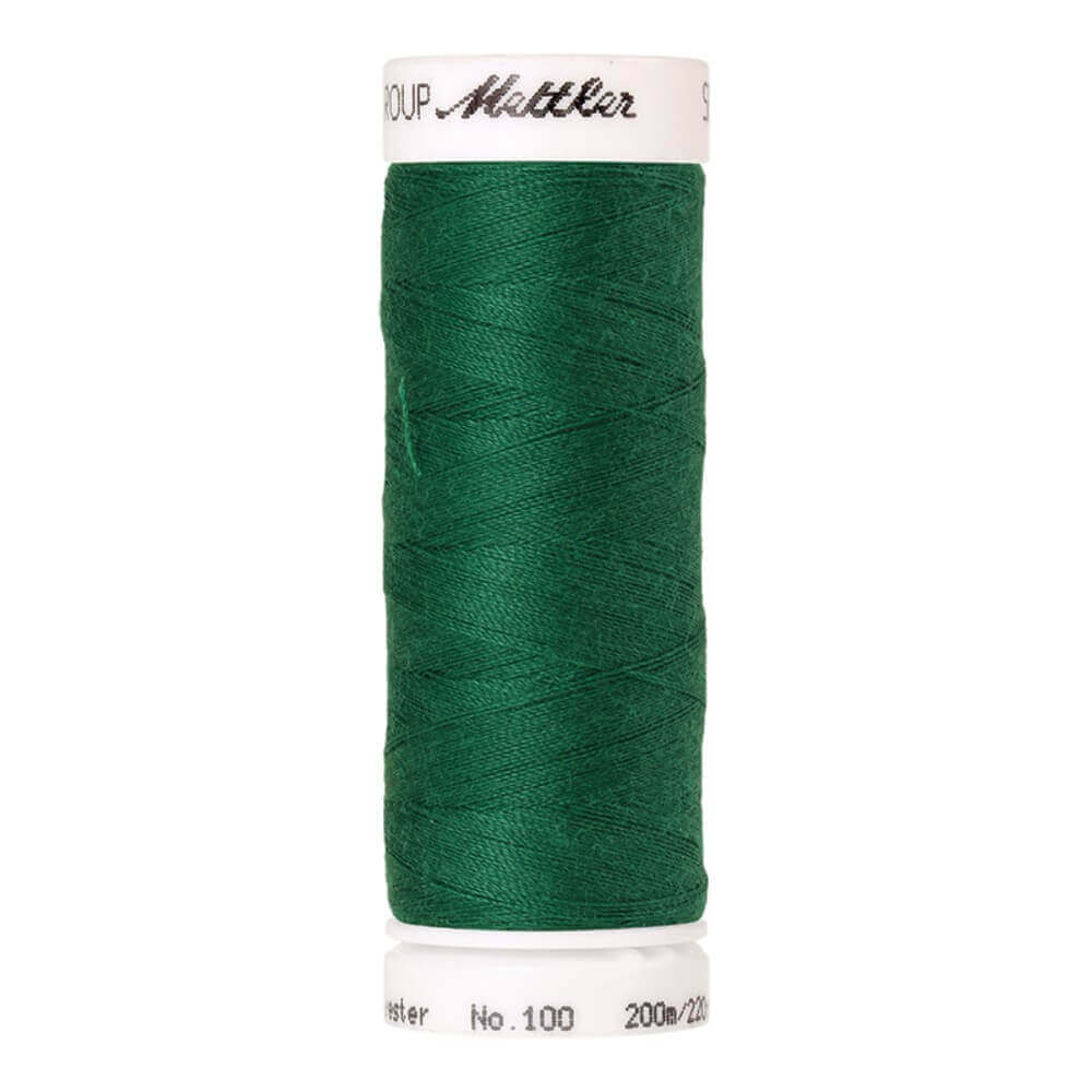 Amann Seralon nr.100 5x200m - 0909