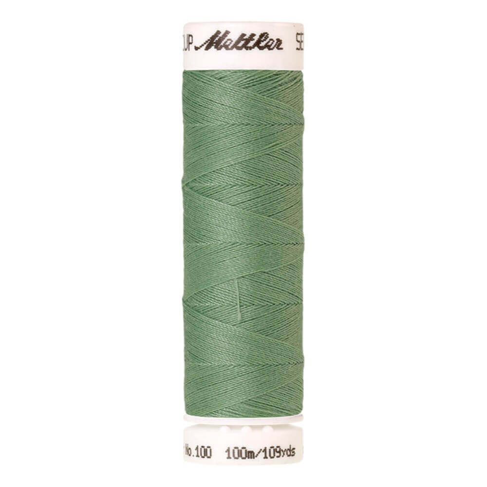 Amann Seralon nr.100 5x100m - 0219