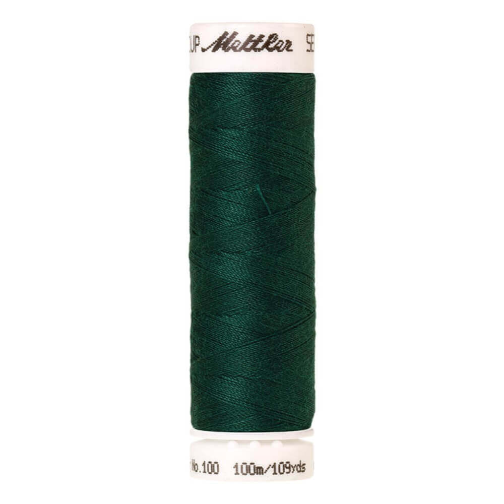 Amann Seralon nr.100 5x100m - 0240