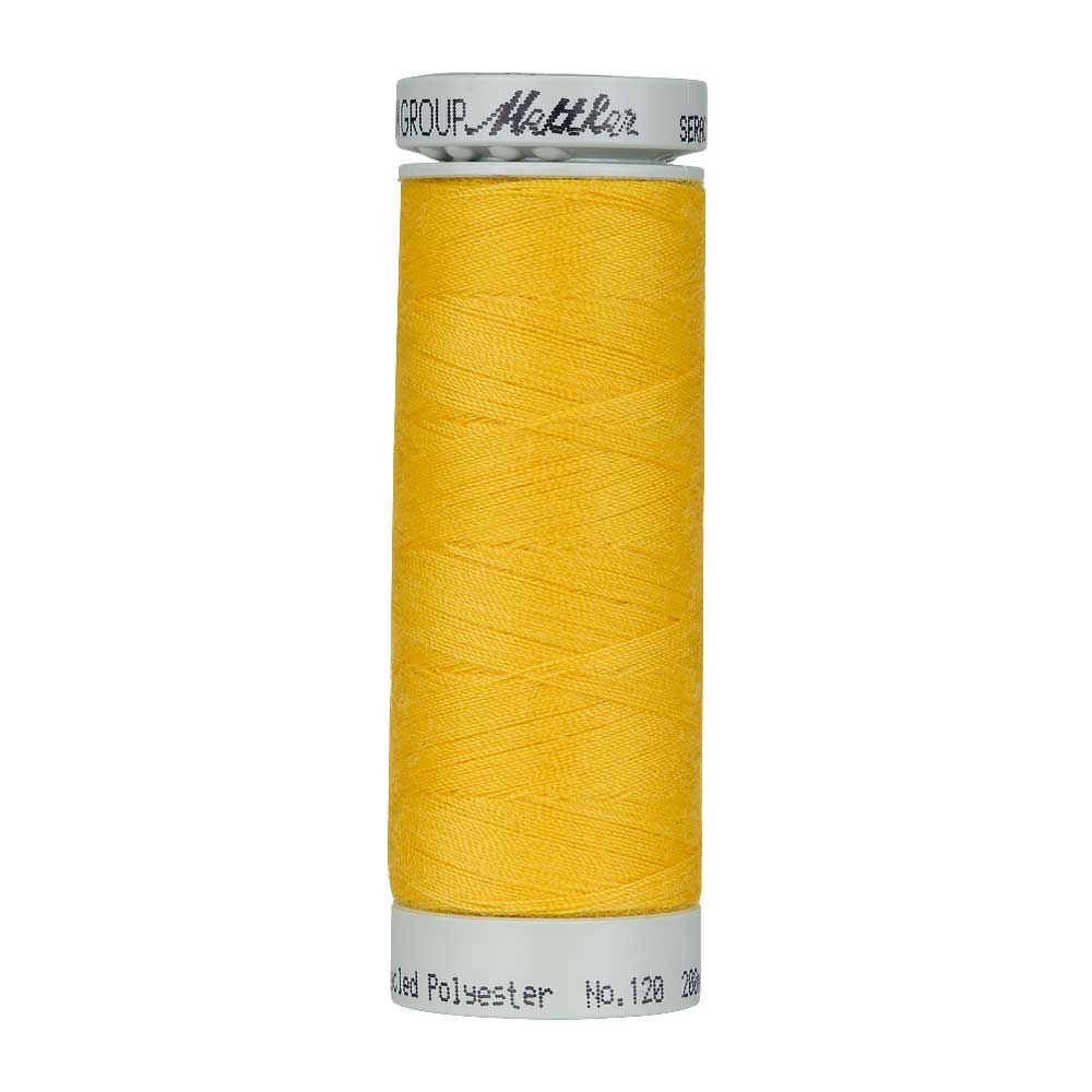 Amann Seracycle nr.120 5x200m - 0607