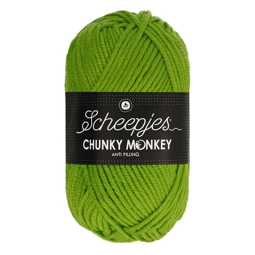 [1716-2016] Scheepjes Chunky Monkey 100g - 2016 Fern