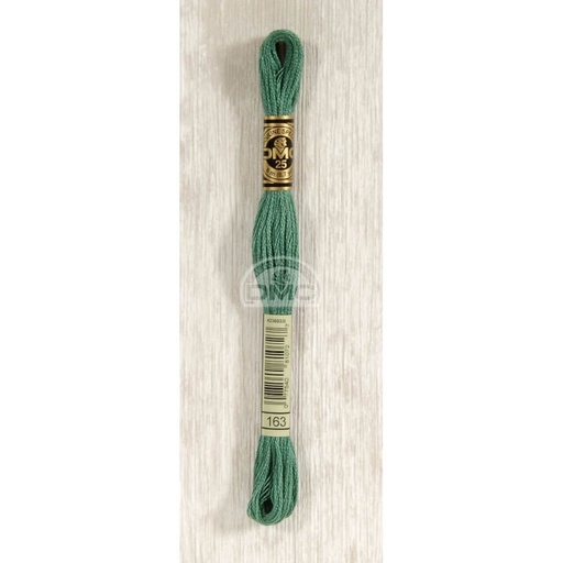 [117MC-0163] DMC Mouliné splijtzijde 8m - 0163