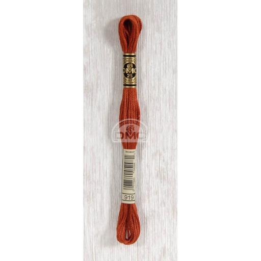 [117MC-0919] DMC Mouliné splijtzijde 8m - 0919