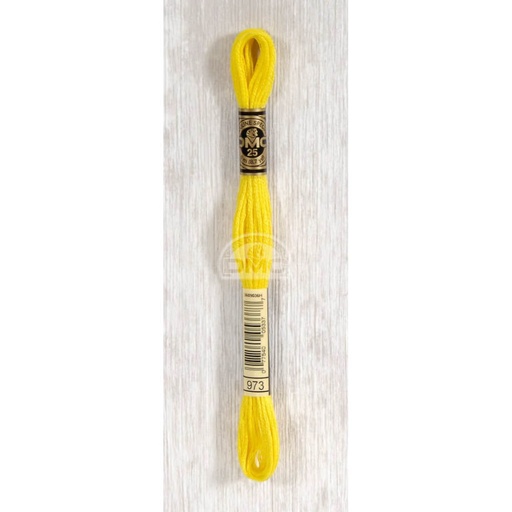 [117MC-0973] DMC Mouliné splijtzijde 8m - 0973