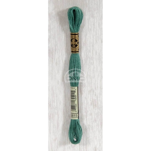 [117MC-3815] DMC Mouliné splijtzijde 8m - 3815