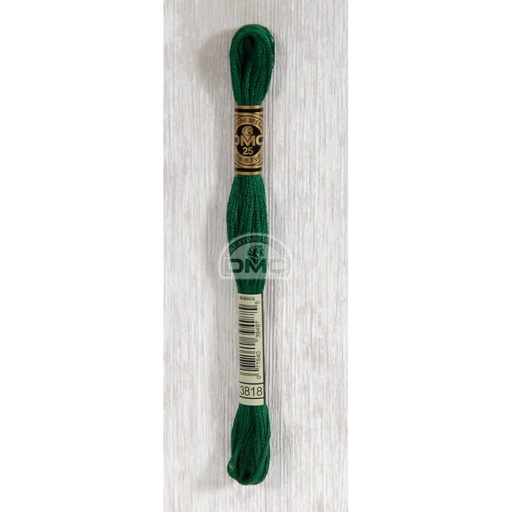 [117MC-3818] DMC Mouliné splijtzijde 8m - 3818